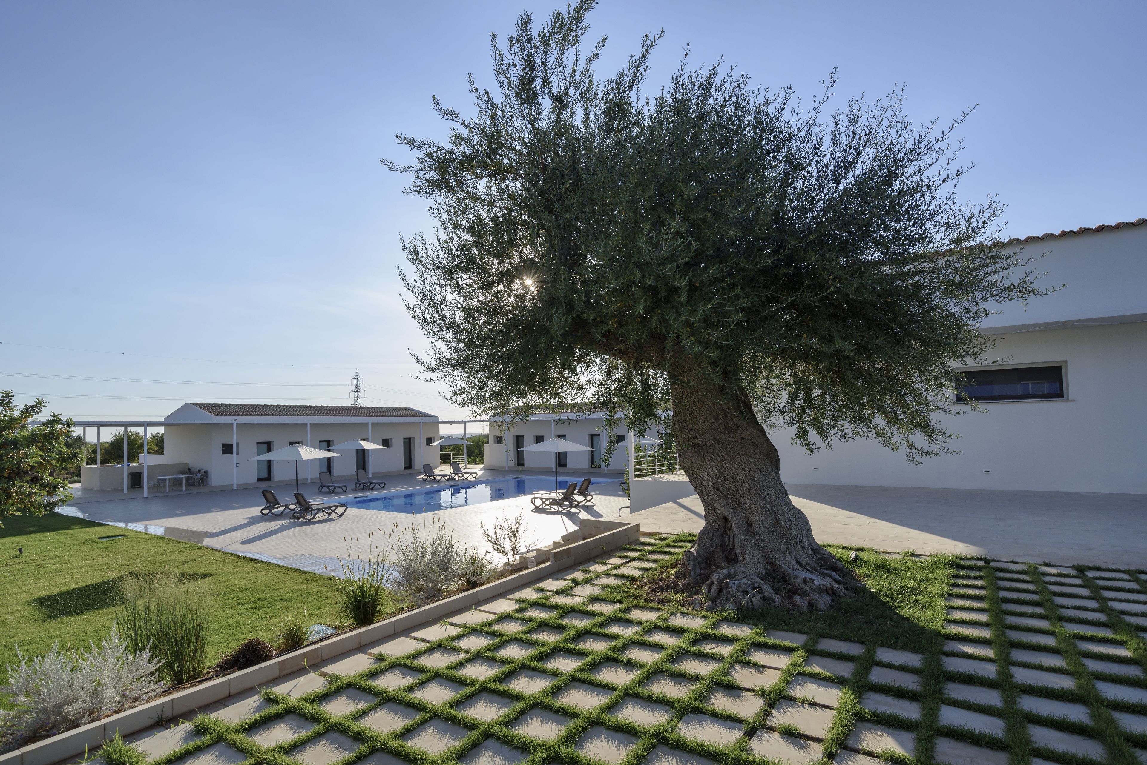 A modern building with a swimming pool, outdoor seating, and a large tree.