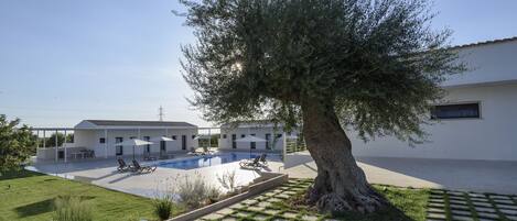 A modern building with a swimming pool, outdoor seating, and a large tree.