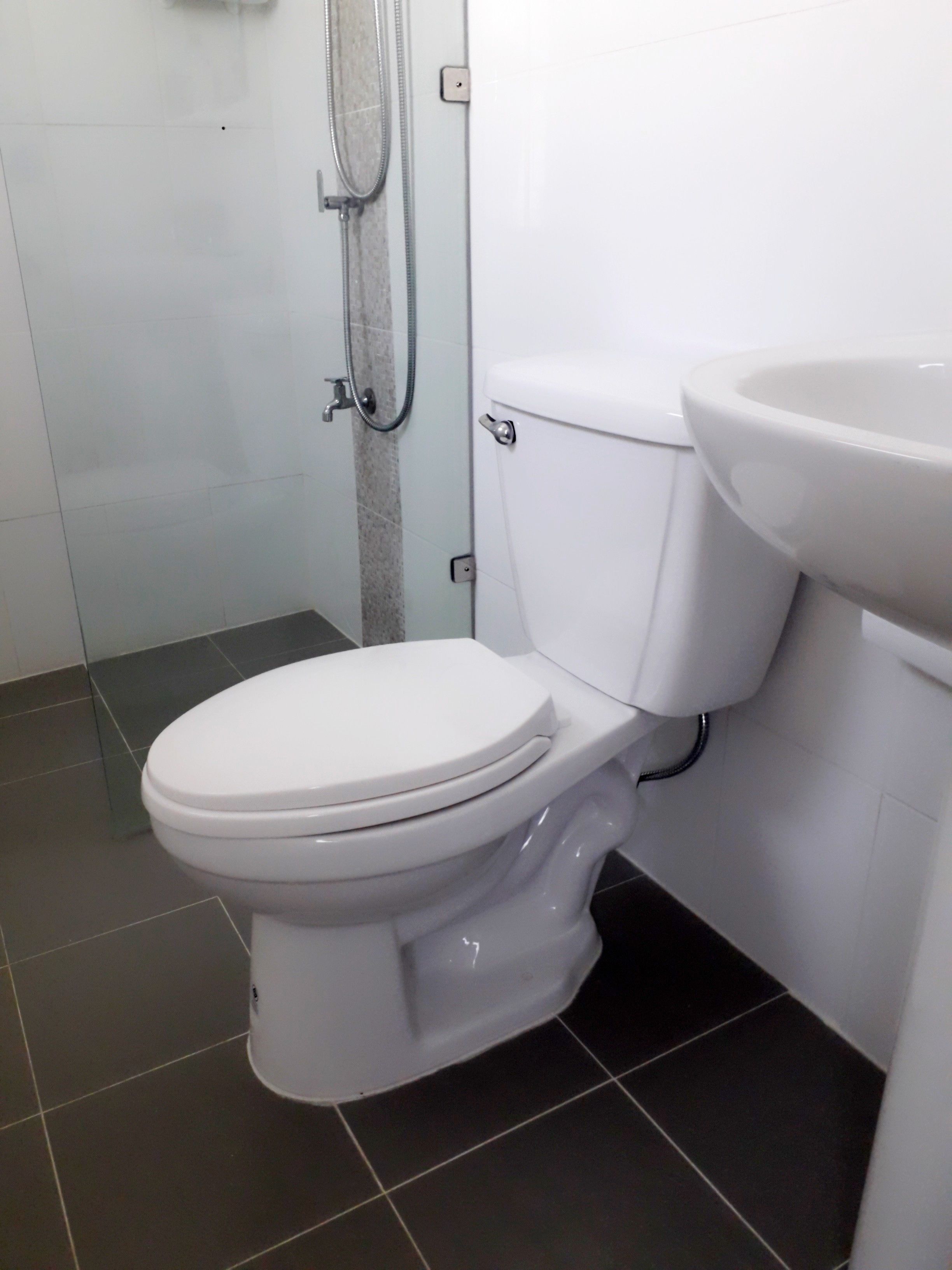Des toilettes blanches dotées d’un siège-bidet, un lavabo et une pomme de douche dans une salle de bain dont le sol est recouvert de carreaux foncés.