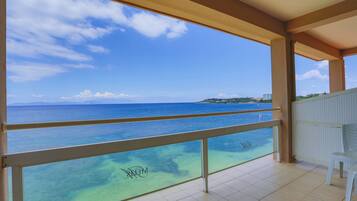 Vista desde la propiedad