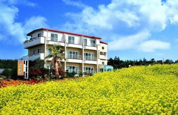 Front of property - Memory Tour (Seogwipo)