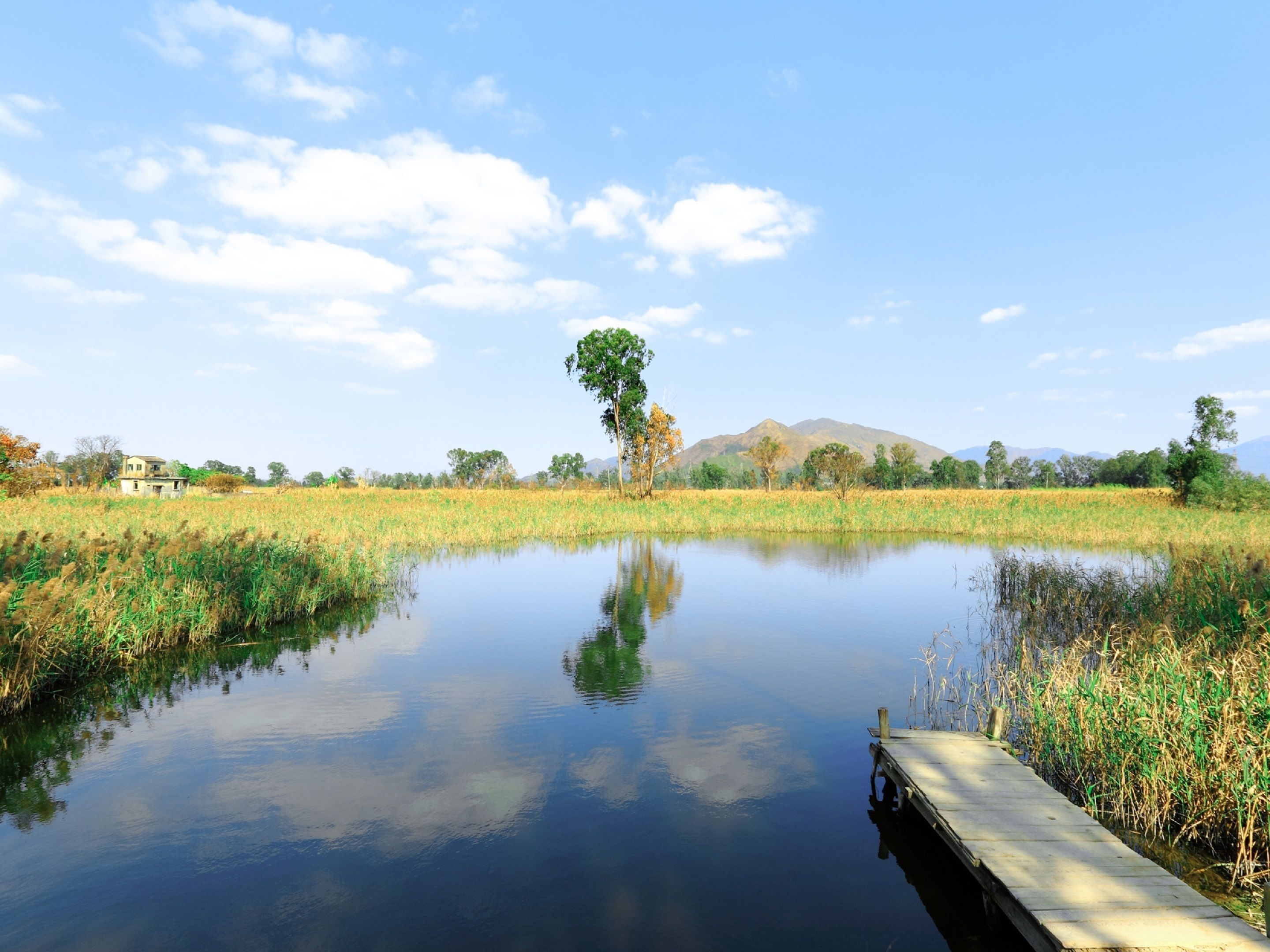 Foto - Hotel COZi Wetland