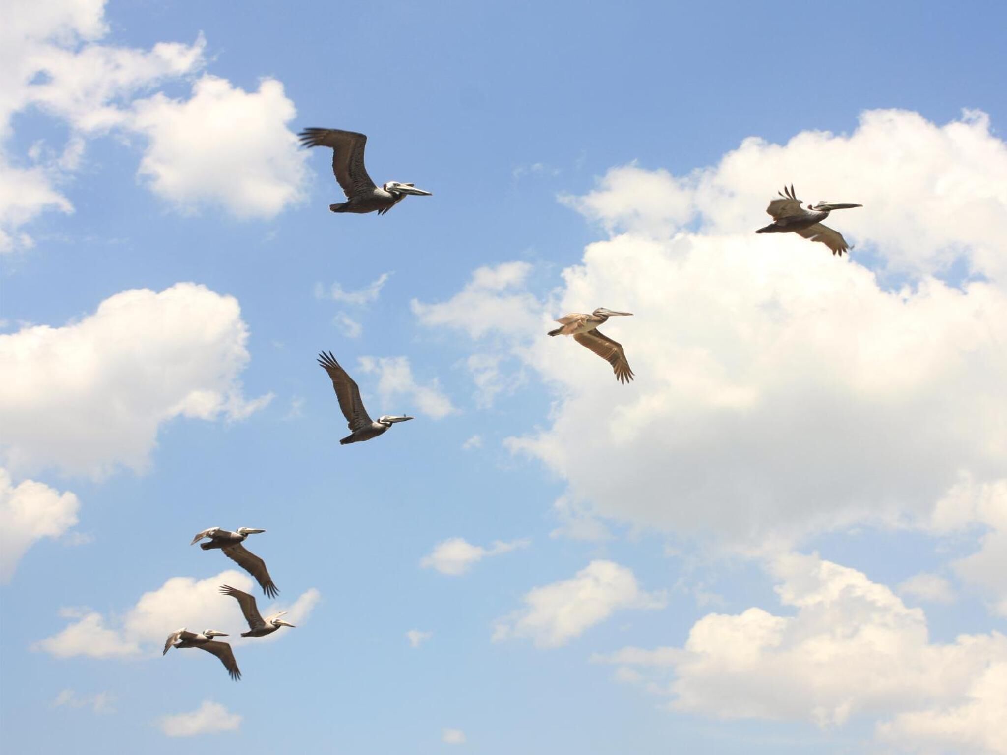 Foto - Hotel COZi Wetland