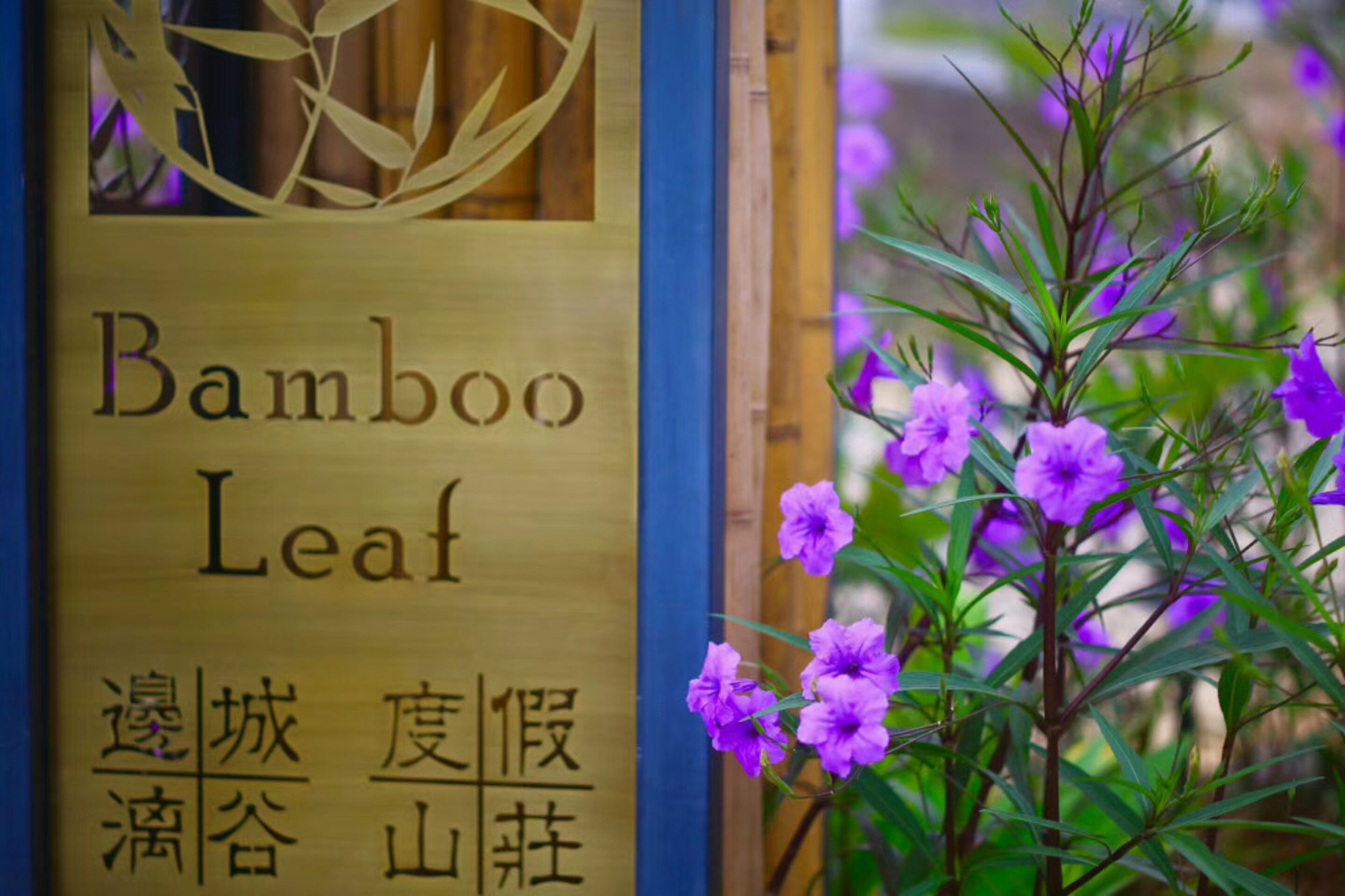 A bamboo leaf sign with Chinese characters and a bamboo plant with purple flowers.