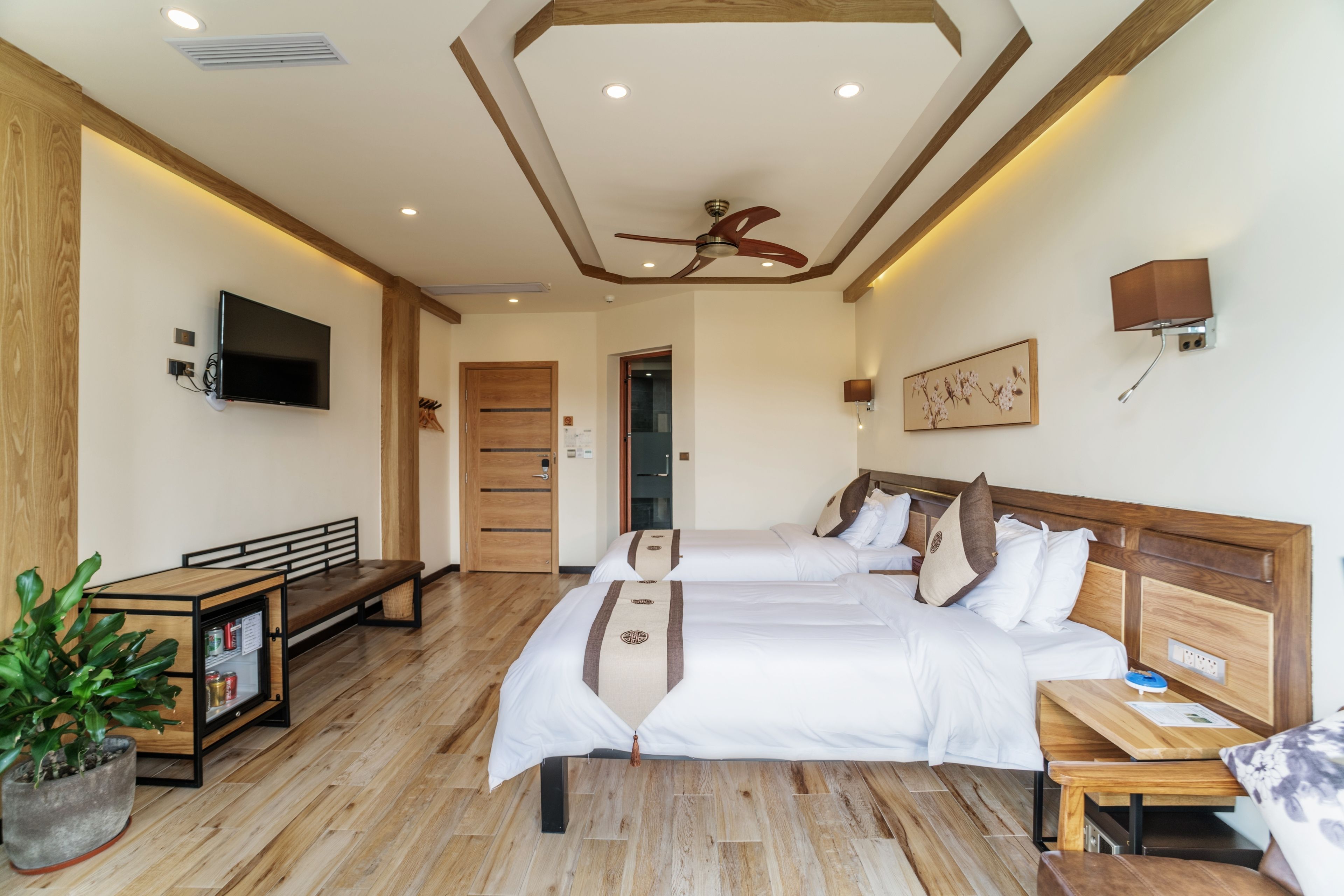 Habitación de hotel con dos camas, televisión, ventilador de techo, mesita de noche, un banco y una planta en maceta.