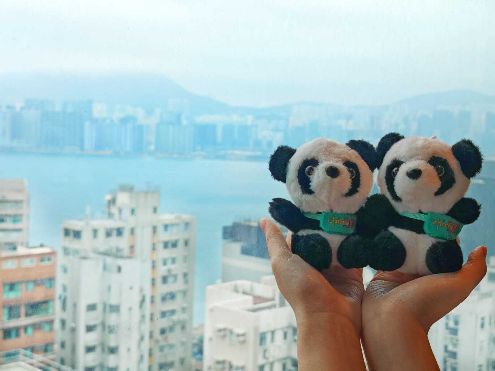 Um par de pelúcias de panda seguradas por uma pessoa, com uma paisagem urbana e água ao fundo.