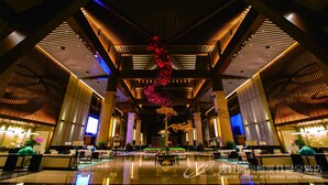 Ảnh chưa phân loại, 5 trong số 72 ảnh, nút