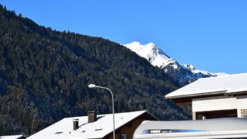 Apartment, 2 Bedrooms | Mountain view