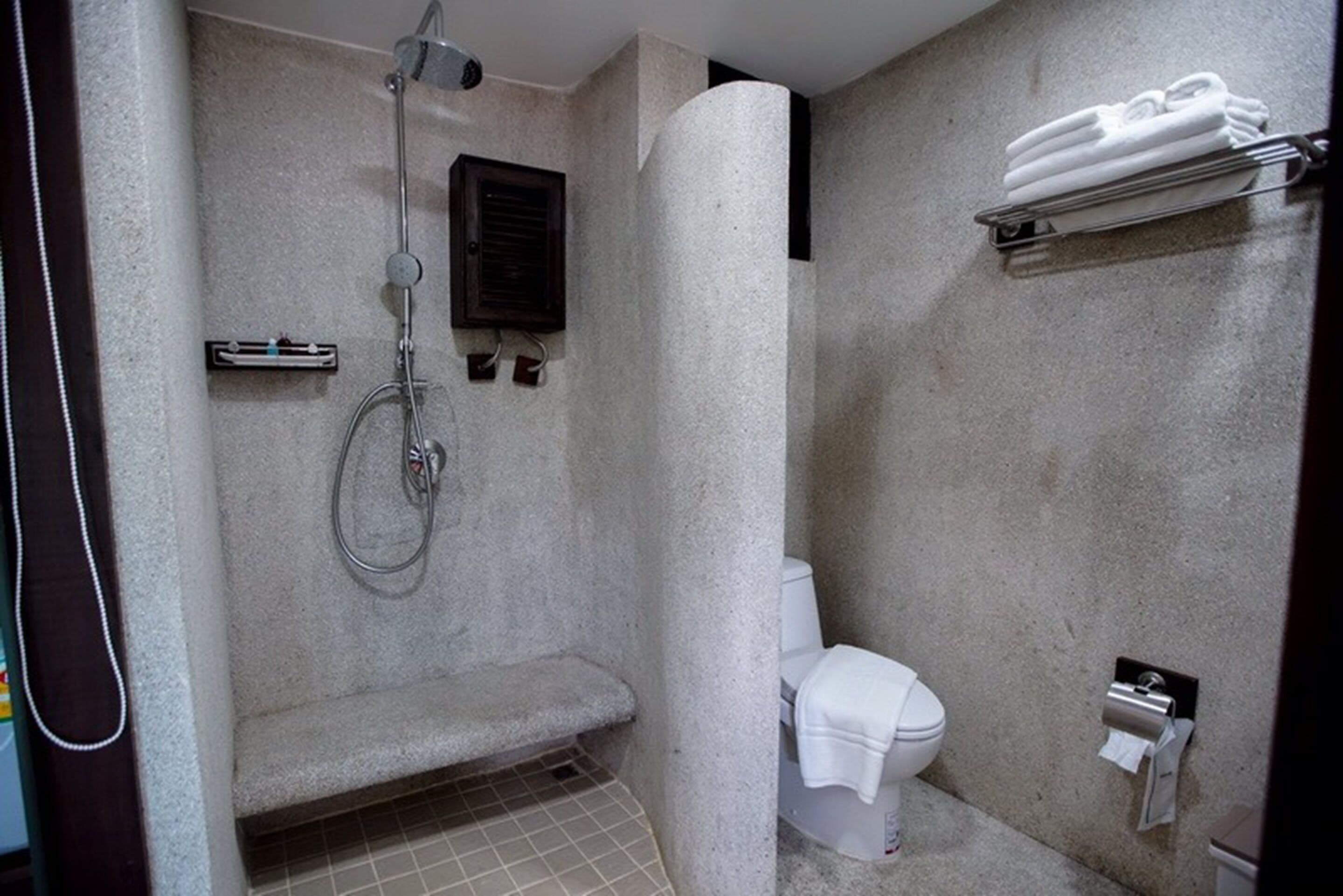 A small, enclosed shower area with a toilet and towel rack.