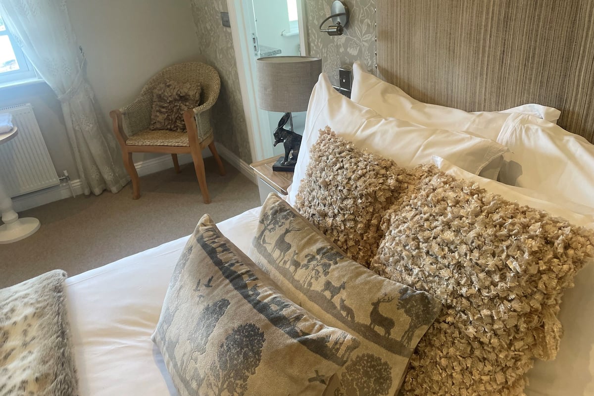 executive double room | 1 bedroom, desk, iron/ironing board, free wifi