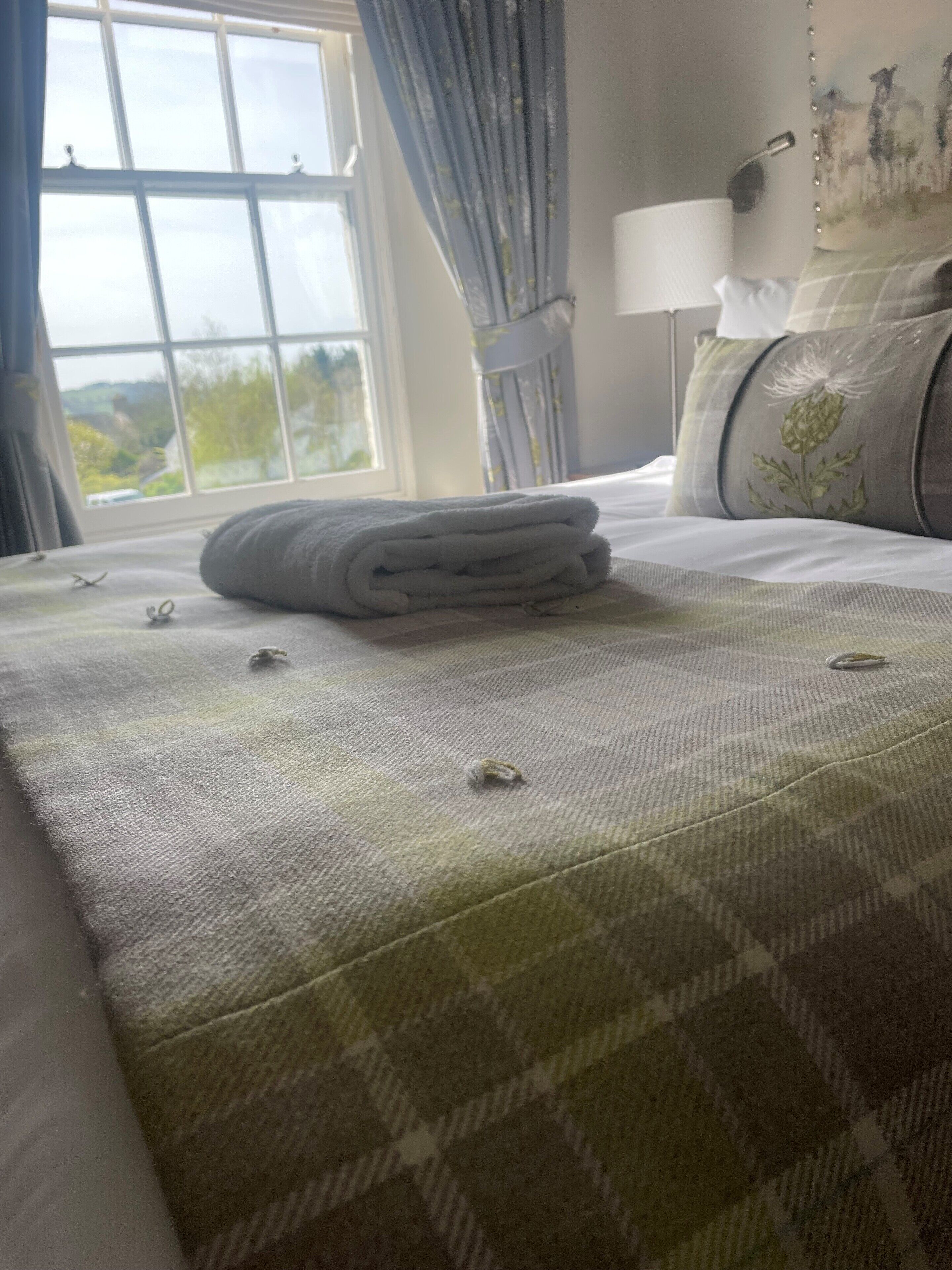 premium double room | 1 bedroom, desk, iron/ironing board, free wifi