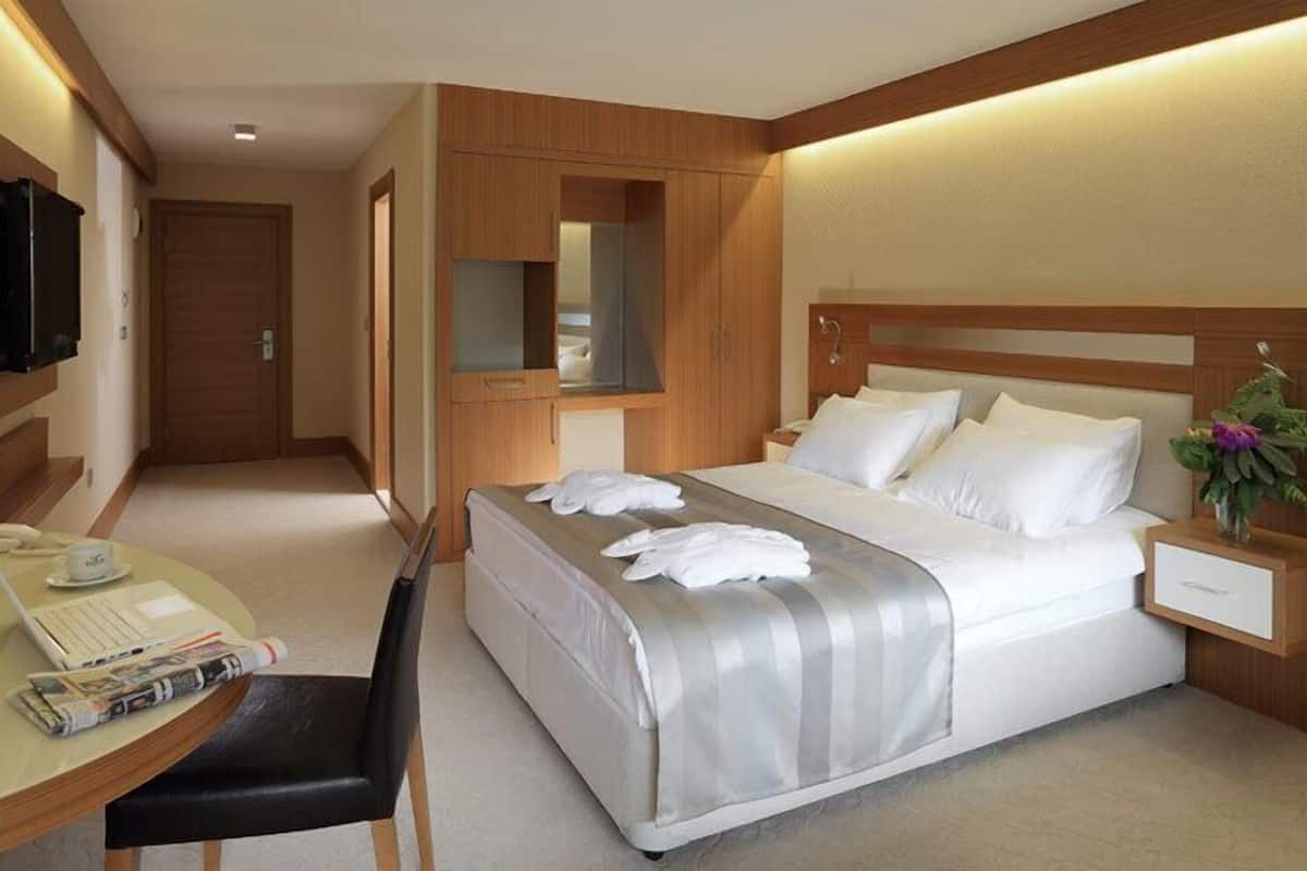 A hotel room with a bed, a desk with a chair, a TV, and a small table with a plant.