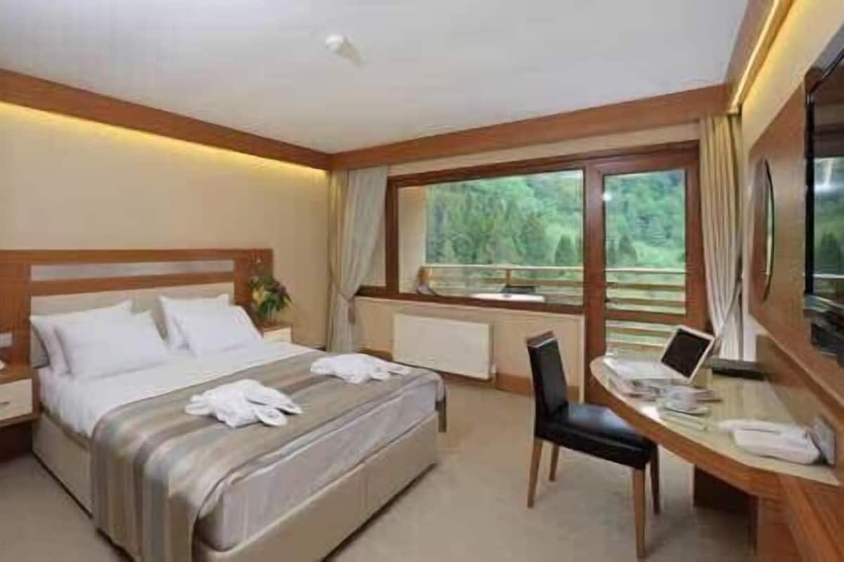 Standard Double or Twin Room, Balcony