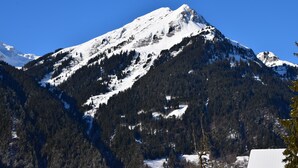 Une montagne enneigée, bordée de forêts denses à ses pieds.