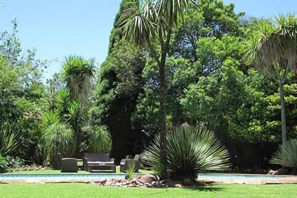 The Pecan Tree