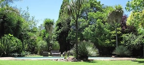 Garden - The Pecan Tree (Sandton)