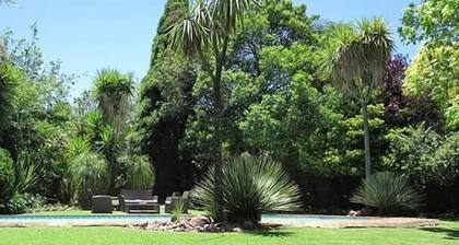 The Pecan Tree