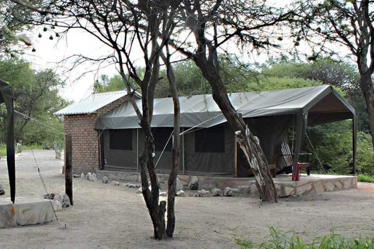 Twin Safari Tented Rooms | View from room