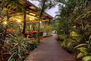 Property grounds - Forest Villas (St. Lucia)