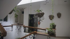 32-inch flat-screen TV with cable channels, TV - Hotel Casa del Parque Vallarta (Puerto Vallarta)