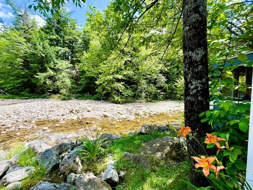 Mt Liberty Cabins and Motel