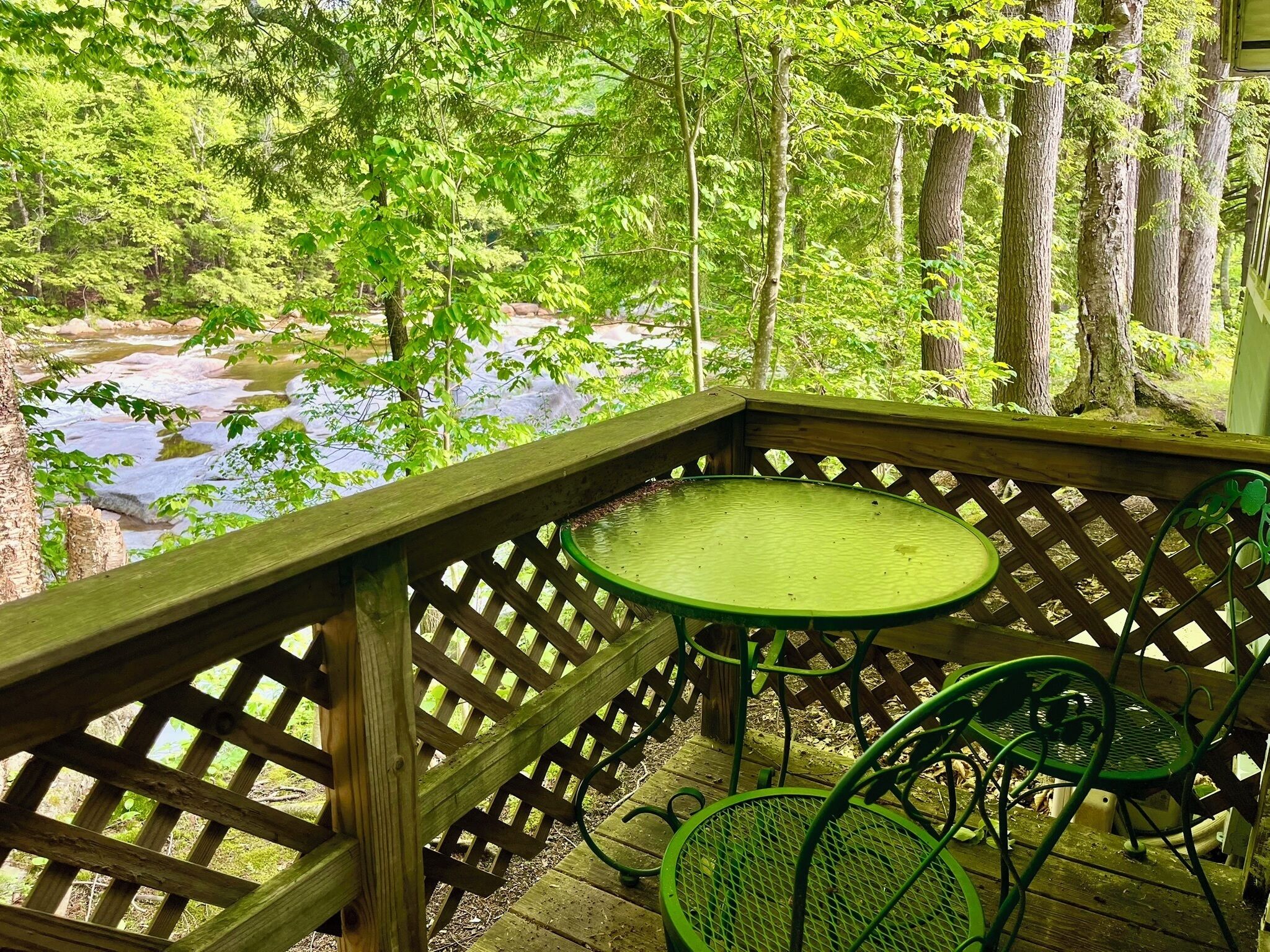 Deluxe Studio Suite, 2 Queen Beds, Kitchenette, River View | View from room