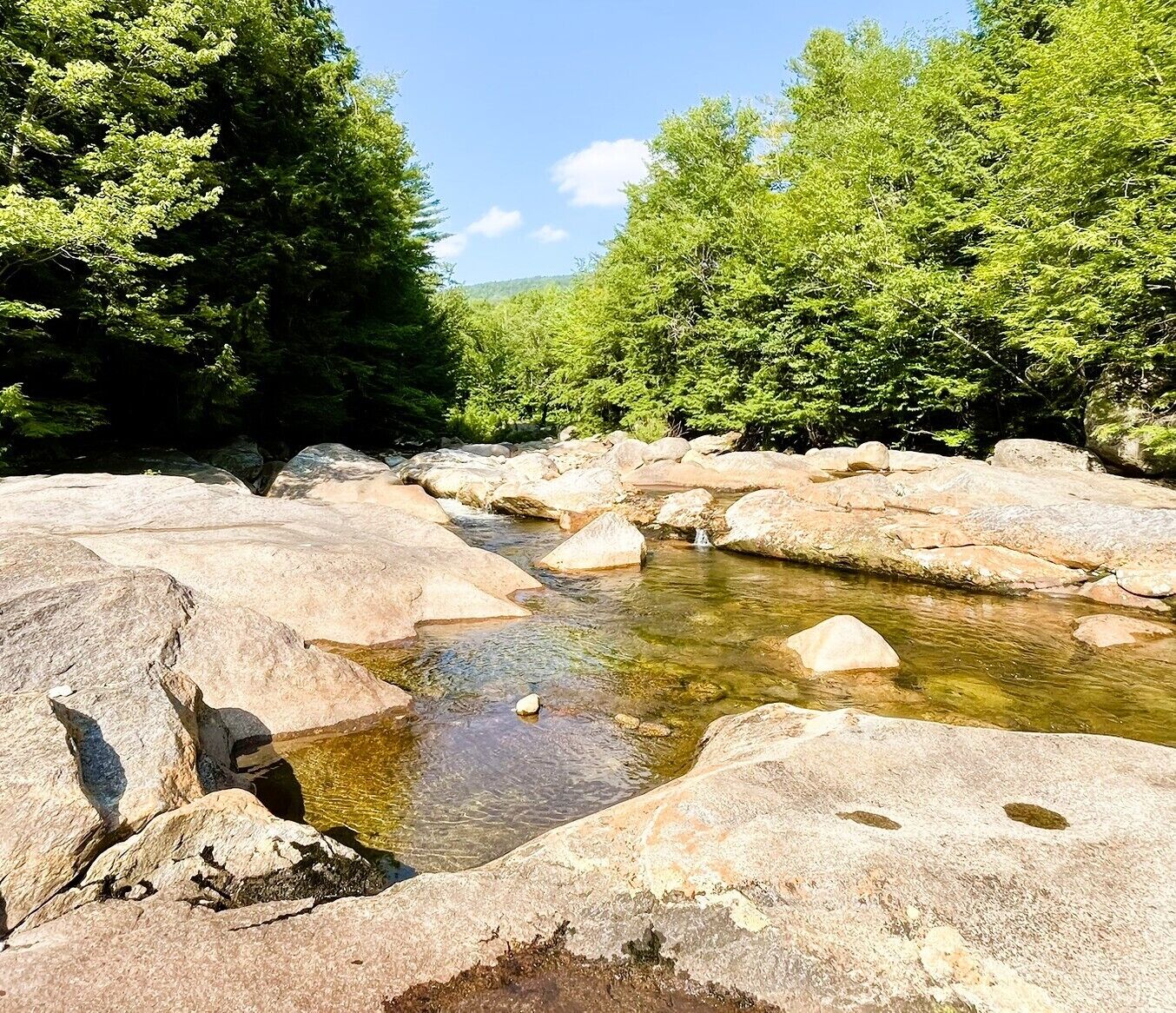 A natural landscape with a clear stream flowing over rocks, surrounded by dense green foliage.