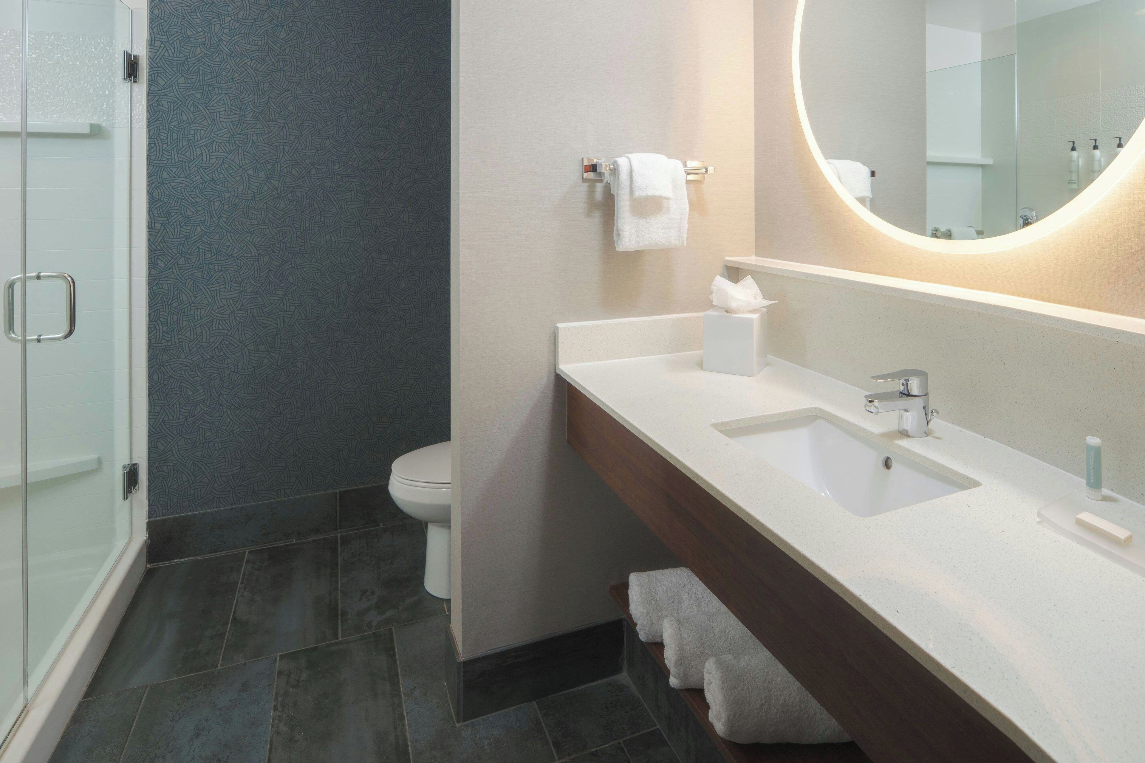 A modern bathroom with a glass shower enclosure, a white toilet, a vanity with a large mirror, and a sink.