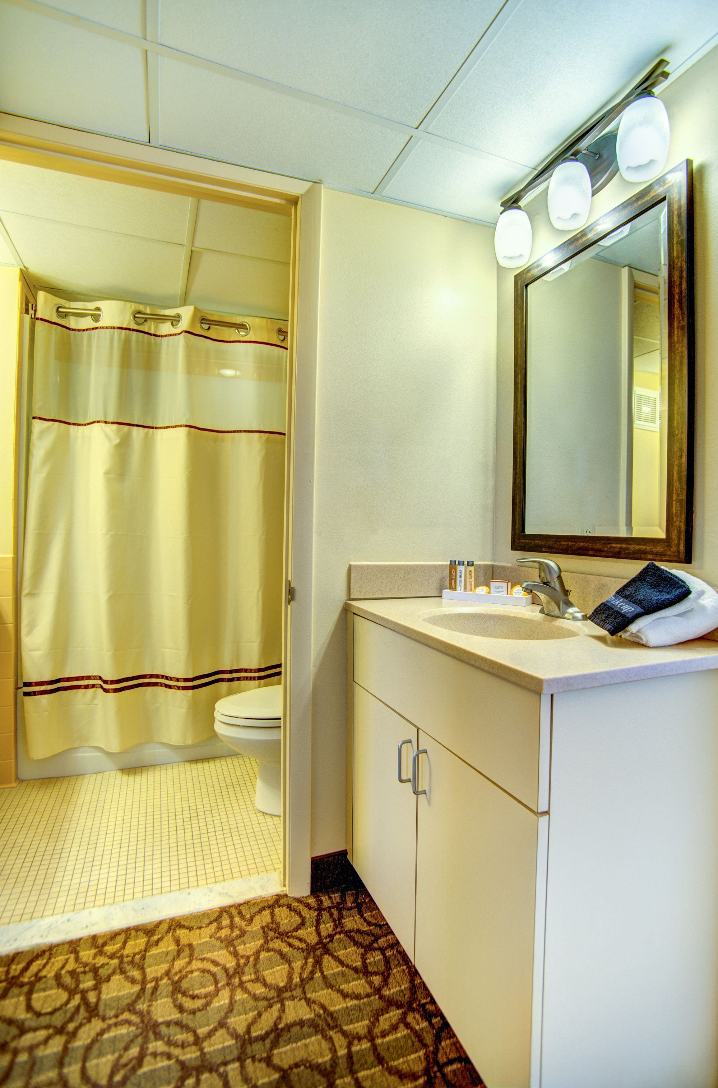 combined shower/bathtub, free toiletries, hair dryer, towels