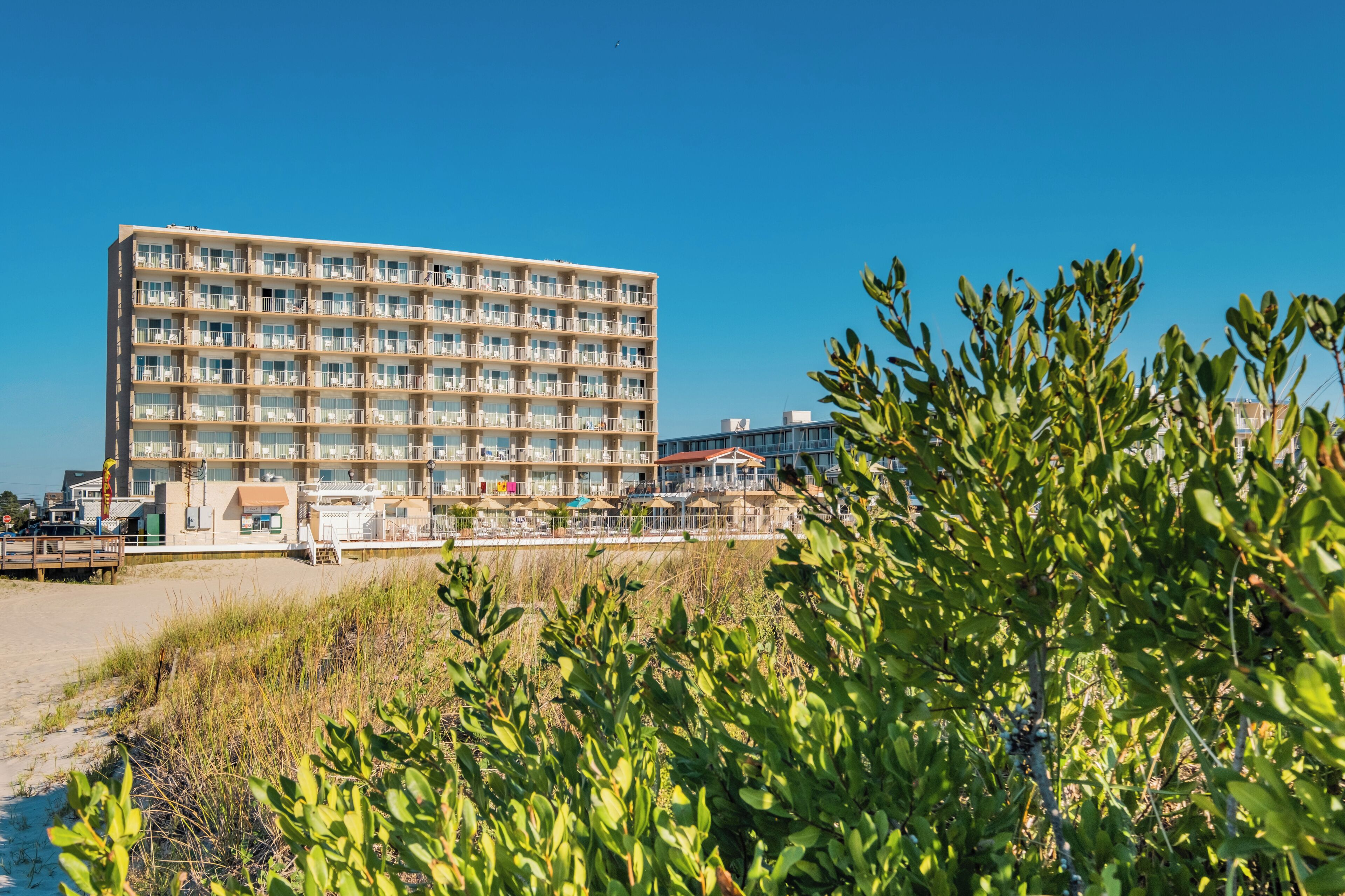 Een hotel met meerdere verdiepingen en balkons, gelegen nabij een strand met begroeiing op de voorgrond.