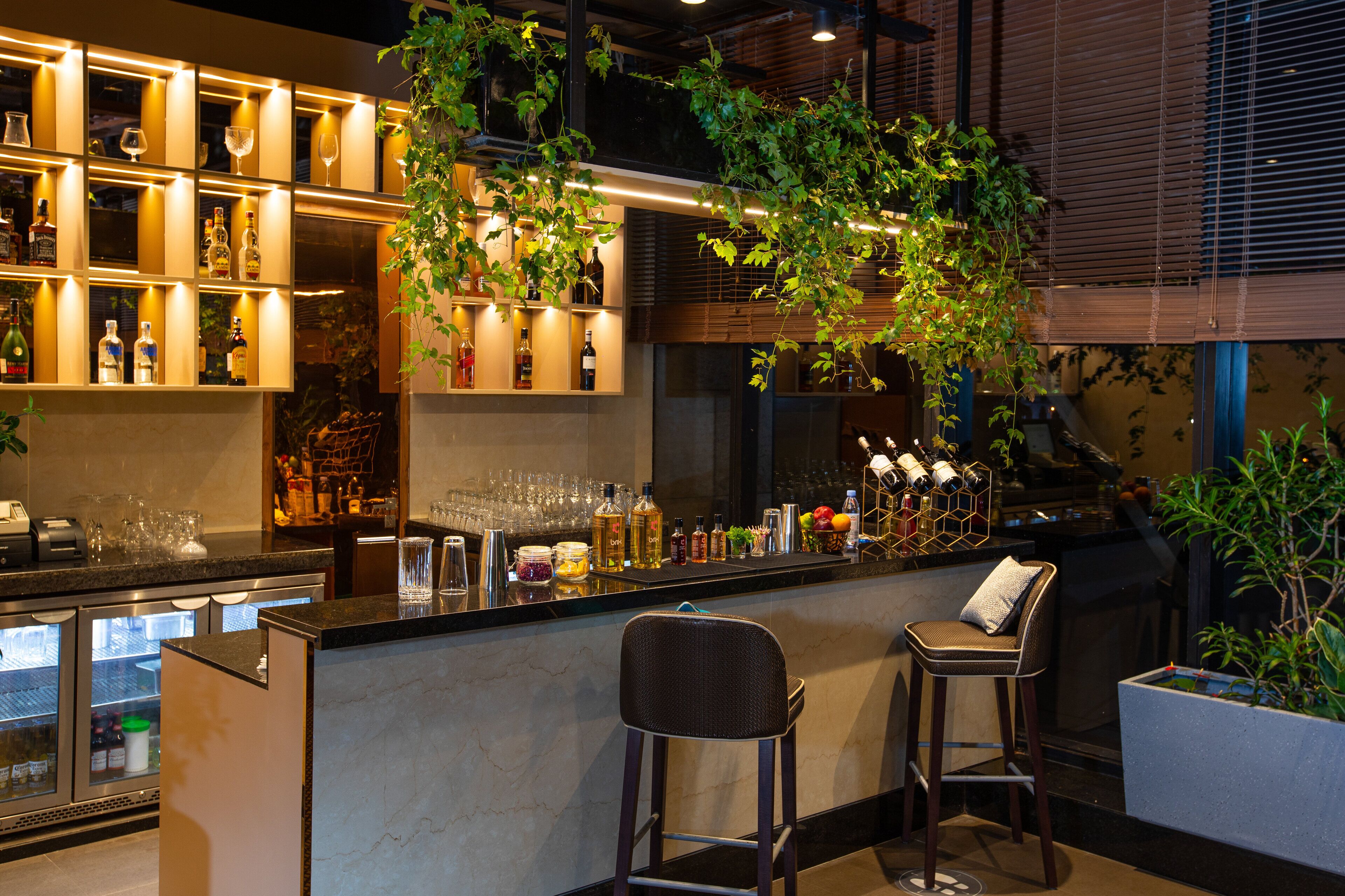 A bar area with shelves of bottles, glasses, and a hanging plant.