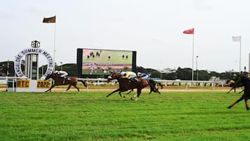 A horse race track with a large screen displaying a race.