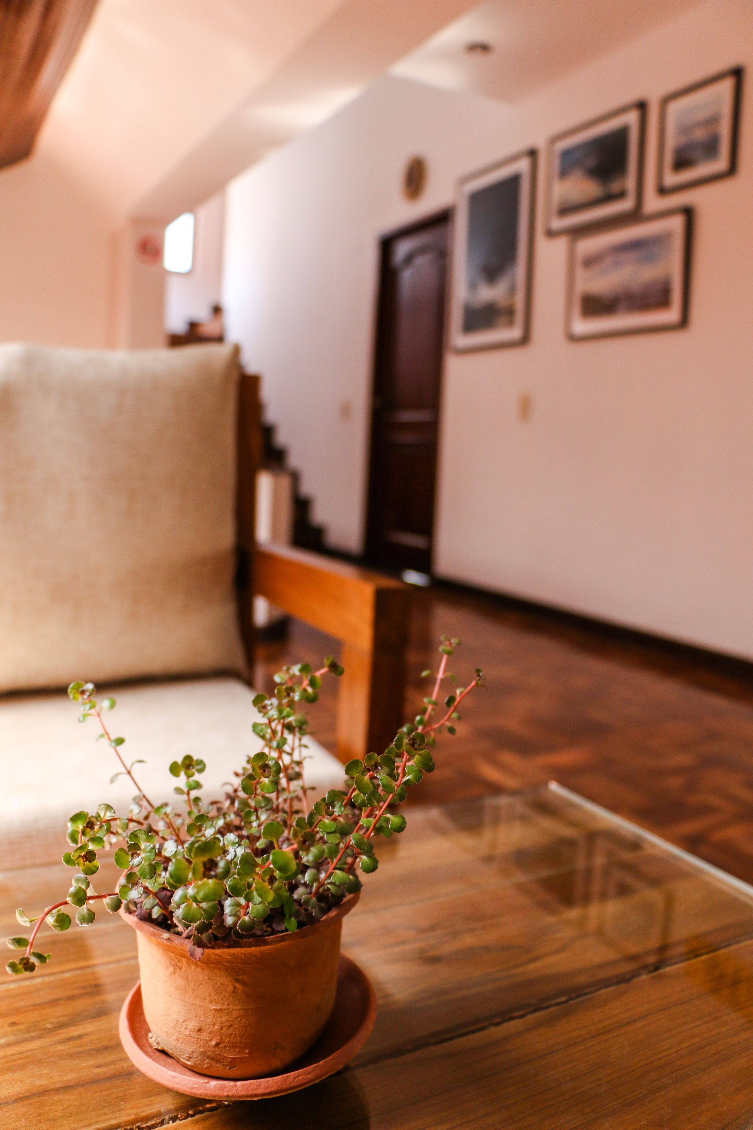 Photo - Qhini Hotel Boutique