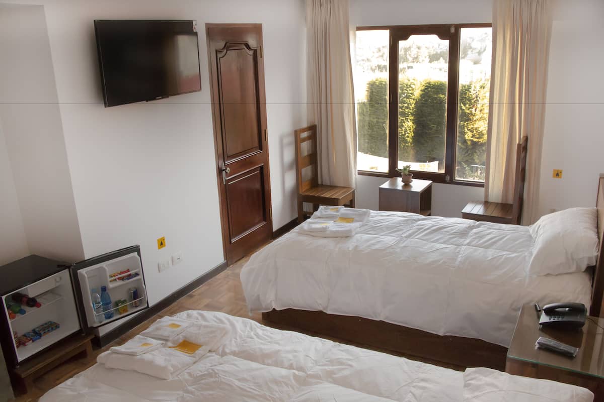 A hotel room with two beds, a TV mounted on the wall, a small table with a plant, and a window with curtains.