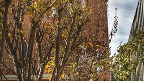 A brick building with a pathway lined by trees and a grassy area. - Qhini Hotel Boutique (La Paz)