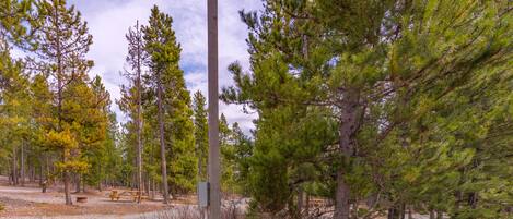 A campground with picnic tables, a wooden post with a number, and utility boxes.