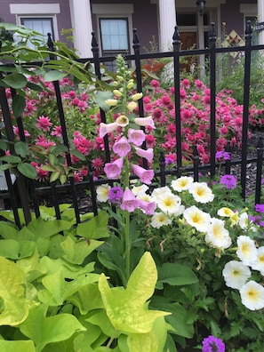 Garden - Annie Wiggins Guest House (Galena)
