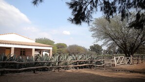 A rustic building with a tiled roof and brick walls, surrounded by agave plants and a wooden fence. - La Vaca Tranquila (San Carlos)