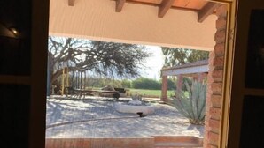 A window with a view of a patio area, including a pergola, a large tree, and a cactus. - La Vaca Tranquila (San Carlos)