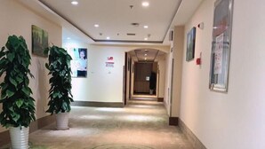 A hotel corridor with a carpeted floor, potted plants, and framed pictures on the walls.
