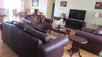 Flat-screen TV, fireplace