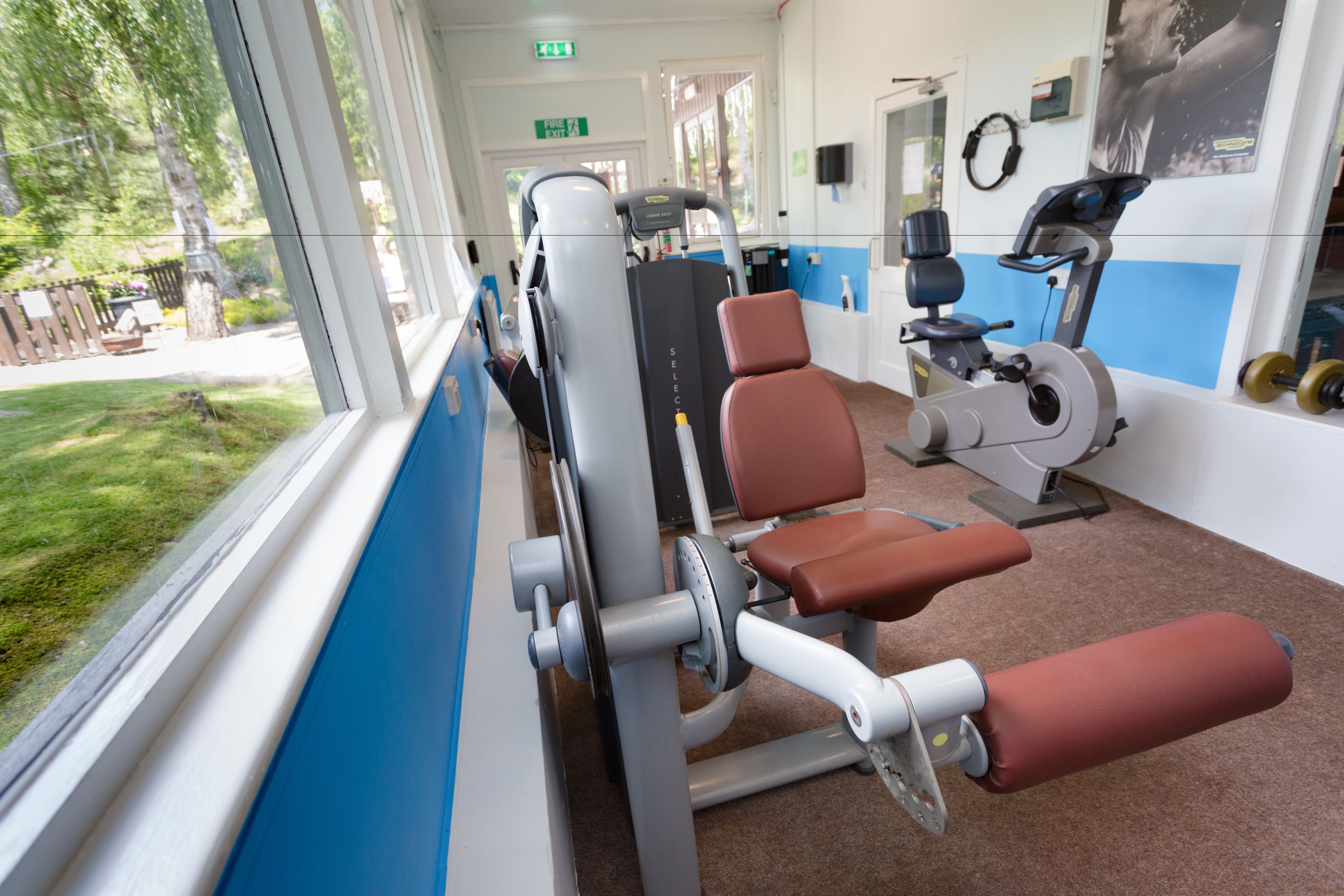 A gym with exercise equipment, a window with a view of the outdoors, and a blue and white wall.