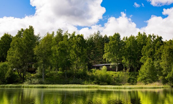 Una cabaña rodeada de un bosque frondoso y un lago tranquilo.