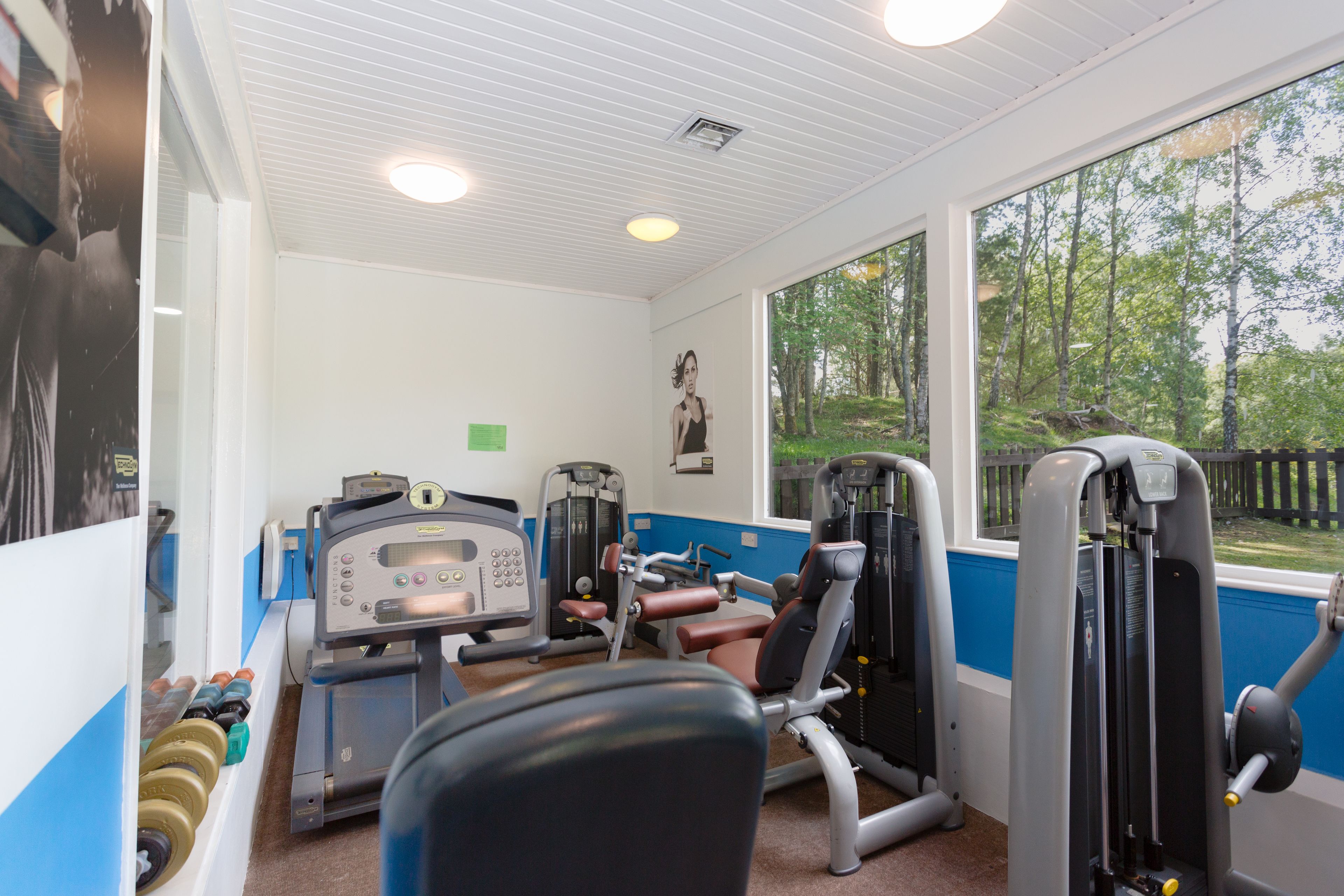 Et fitnessrum med træningsudstyr, et stort vindue med udsigt til træer og et loft med indbyggede spots.