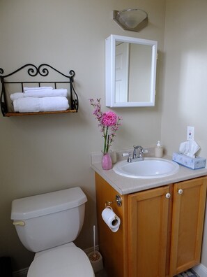 Studio, Ocean View, Oceanfront | Bathroom | Combined shower/bathtub, free toiletries, hair dryer, towels