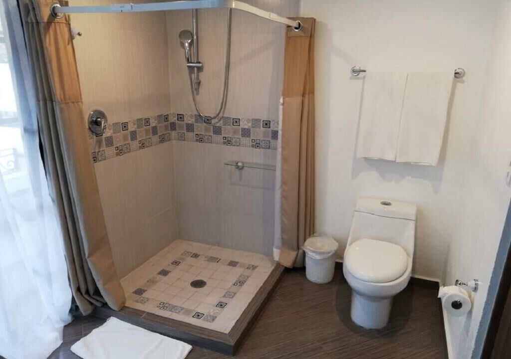 A bathroom with a shower, toilet, and a small trash bin.