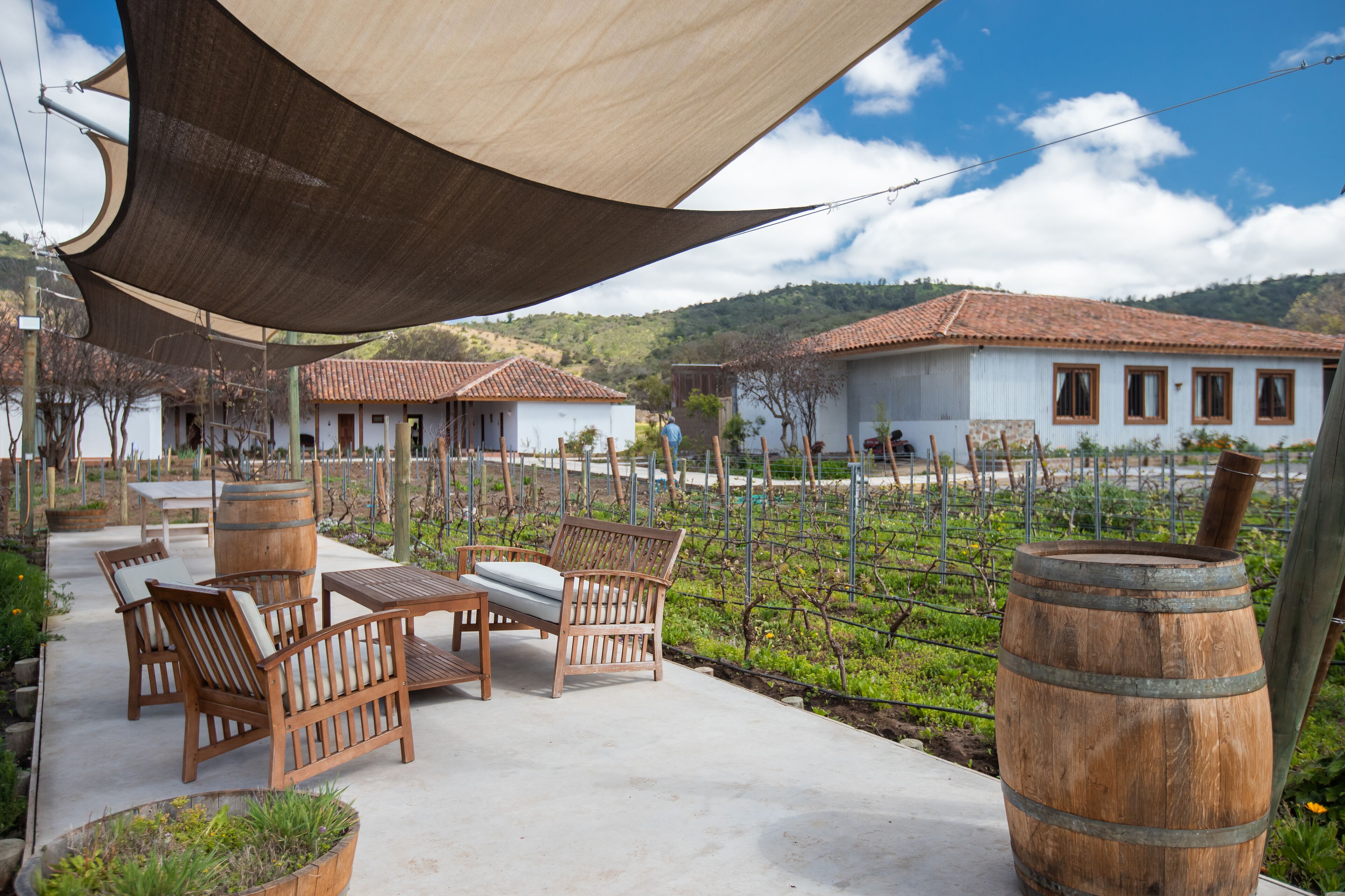A patio area with wooden furniture and barrels, a vineyard in the background, and a building with a tiled roof.