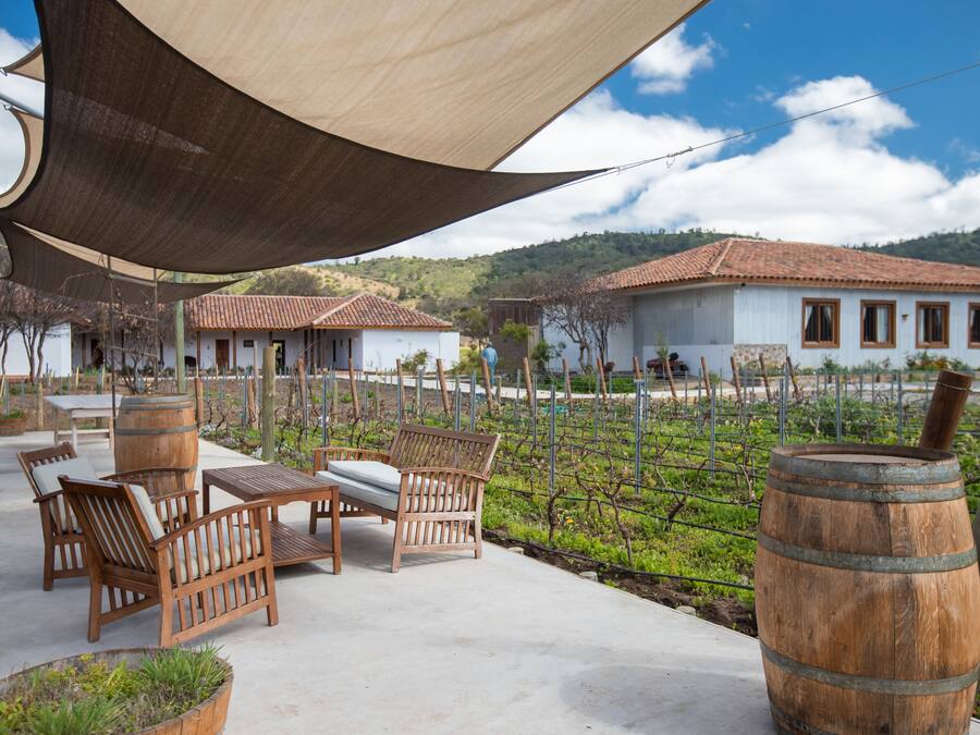 A patio area with wooden furniture and barrels, a vineyard in the background, and a building with a tiled roof.