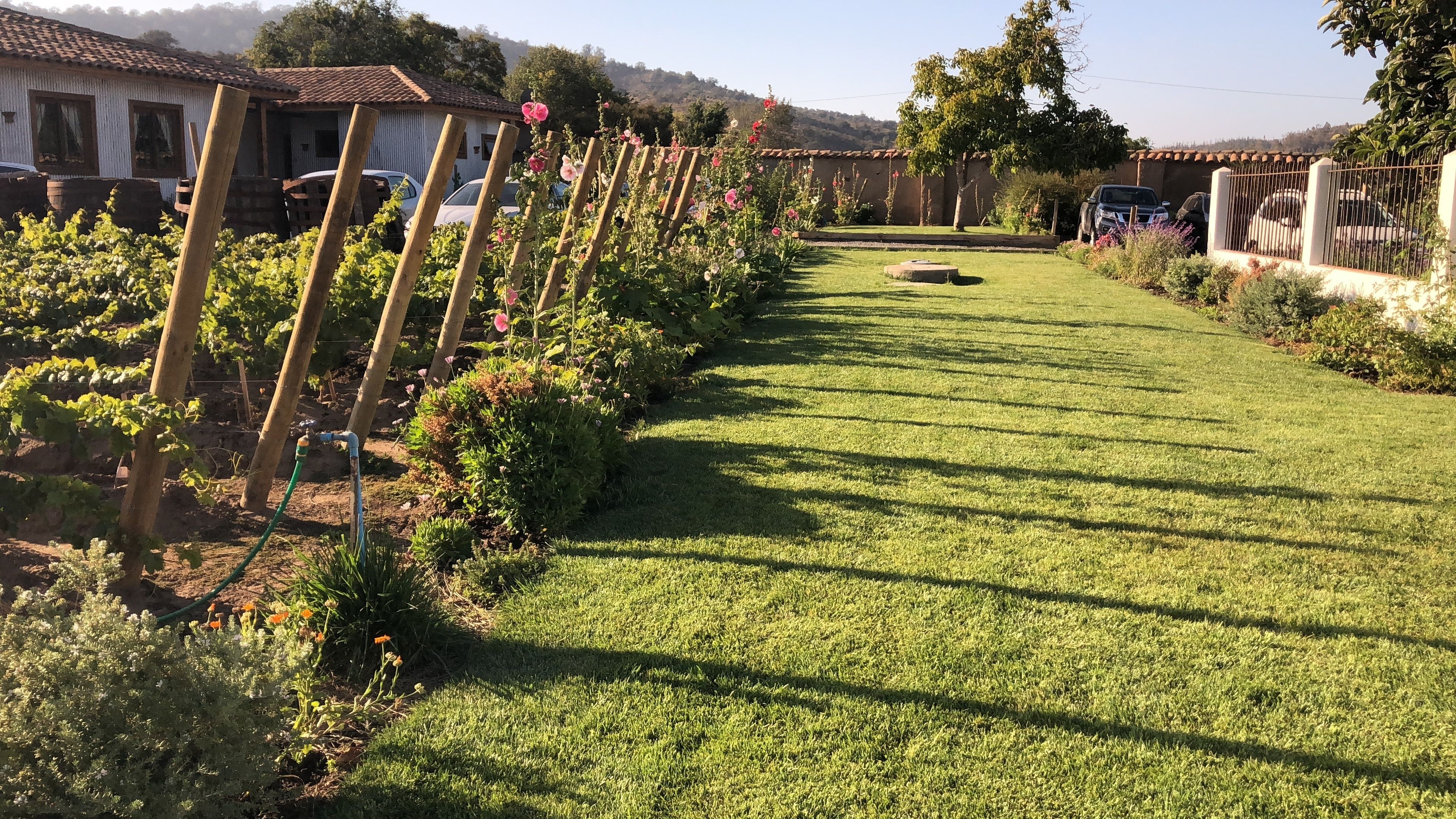 Een verzorgde tuin met een gazen pad, houten trelises en bloeiende planten.