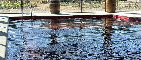 Piscine extérieure (ouverte en saison), chaises longues